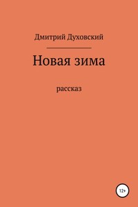 Новая зима. Рассказ