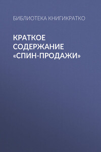 Краткое содержание «СПИН-продажи»