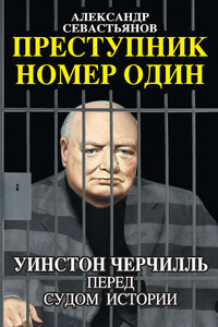 Преступник номер один. Уинстон Черчилль перед судом Истории