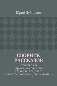 Сборник рассказов. Ночной гость. Армия, как она есть. Случай на педсовете. «Взвейтесь кострами, синие ночи…»