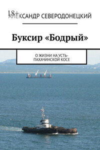 Буксир «Бодрый». О жизни на Усть-Пахачинской косе