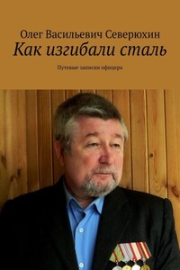 Как изгибали сталь. Путевые записки офицера