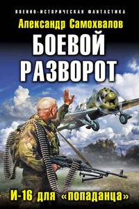 Боевой разворот. И-16 для «попаданца»