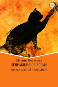 Неправильное время. Книга 2. Слепой проводник