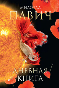 Дневная книга (сборник)