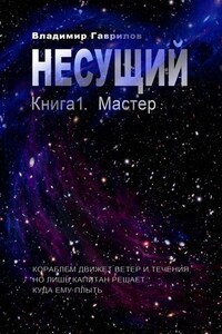 Несущий. Книга 1. Мастер