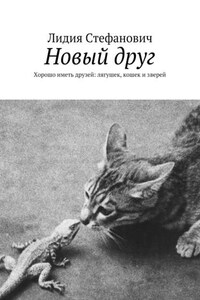 Новый друг. Хорошо иметь друзей: лягушек, кошек и зверей