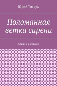 Поломанная ветка сирени. Стихи и рассказы