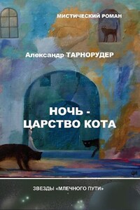 Ночь – царство кота