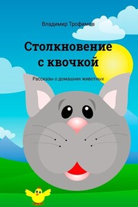 Столкновение с квочкой. Рассказы о домашних животных