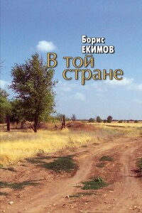 В той стране