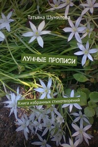 Лунные прописи. Книга избранных стихотворений