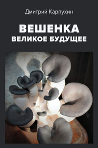 Вешенка: великое будущее