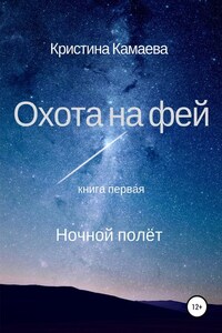 Охота на фей. Книга первая. Ночной полет