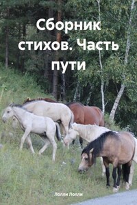 Сборник стихов. Часть пути