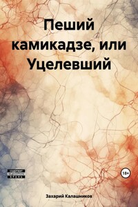 Пеший камикадзе, или Уцелевший