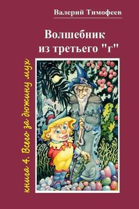 Волшебник из третьего «г». Книга 4. Всего за дюжину мух