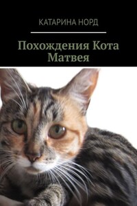 Похождения Кота Матвея