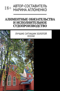 Алиментные обязательства и исполнительное судопроизводство. Лучшие ситуации золотой осени