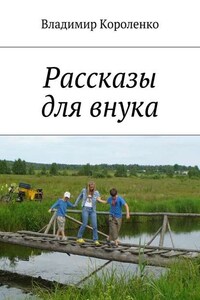 Рассказы для внука