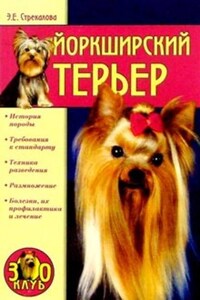 Йоркширский терьер