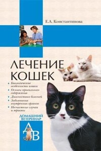 Лечение кошек