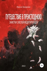 Путешествие в Преисподнюю. Заметки смелой медитирующей