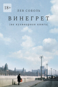 Винегрет. Не кулинарная книга