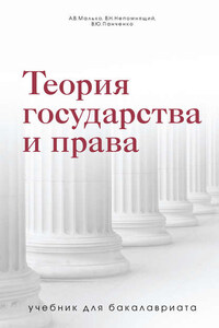 Теория государства и права. Учебник для бакалавриата