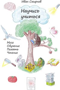 Научись учиться. Мозг, обучение, память, чтение