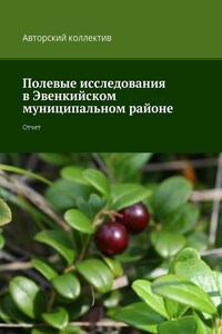 Полевые исследования в Эвенкийском муниципальном районе. Отчет