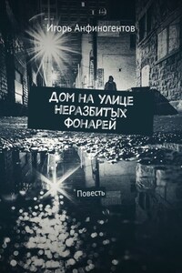 Дом на улице Неразбитых фонарей. Повесть