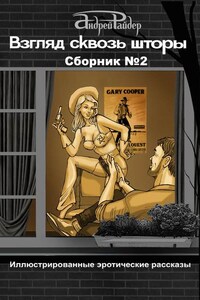 Взгляд сквозь шторы. Сборник № 2. 25 пикантных историй, которые разбудят ваши фантазии