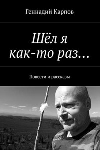 Шёл я как-то раз… Повести и рассказы