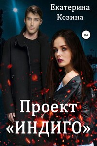 Проект «Индиго»