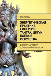 Энергетическая практика синергии. Тантра, цигун, боевые искусства. Библиотека проекта «Синергический буддизм»