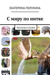 С миру по нитке. Рассказы и сказки