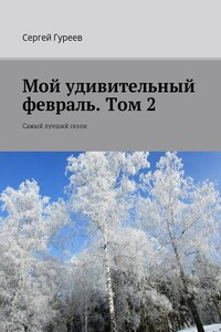 Мой удивительный февраль. Том 2. Самый лучший сезон