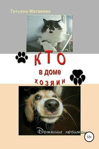 Кто в доме хозяин