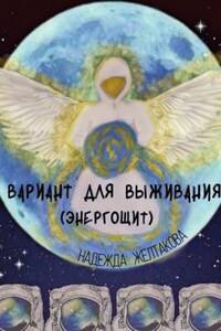 Вариант для выживания (Энергощит)