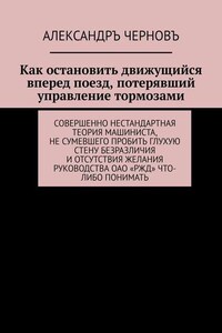 Как остановить движущийся вперед поезд, потерявший управление тормозами. Совершенно нестандартная теория машиниста, не сумевшего пробить глухую стену безразличия и отсутствия желания руководства ОАО «РЖД» что-либо понимать