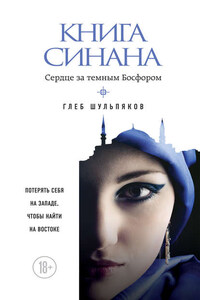 Книга Синана. Сердце за темным Босфором