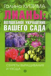 Лианы: волшебное украшение вашего сада. Секреты выращивания и ухода